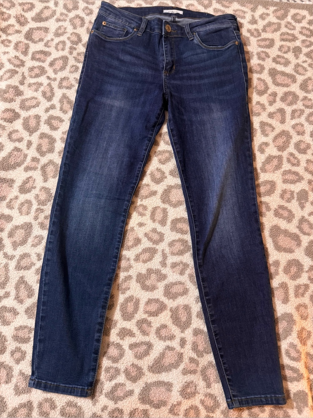 Vigoss Dark Wash Skinny Jeans